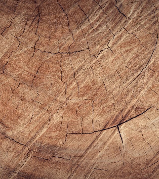 Detailed close-up of rustic brown wood texture, revealing natural grain and cracks.